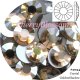 スワロフスキー　Crystal GoldenShadow　*廃盤*