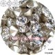 スワロフスキー　Crystal　Wチャトン*レア*廃盤